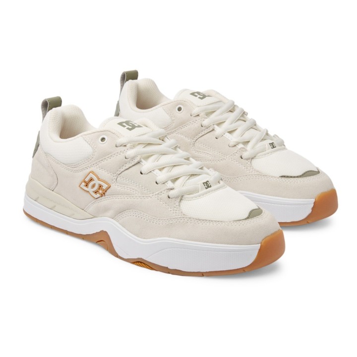 DC Shoes Sneaker "DC Ascend"