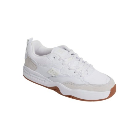 DC Shoes Sneaker "DC Ascend"
