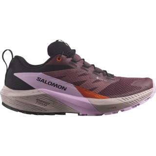 Salomon Damen Sense Ride 5 GTX Schuhe