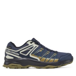Trekkingschuhe Salomon Extegra Gore-Tex L47799800 Grau