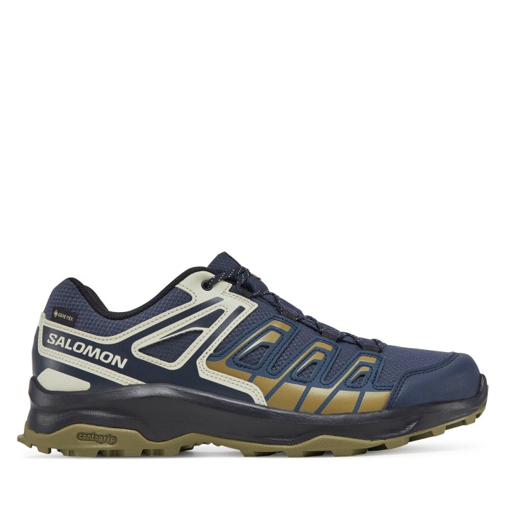 Trekkingschuhe Salomon Extegra Gore-Tex L47799800 Grau