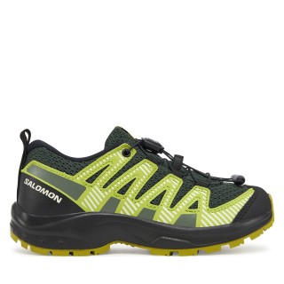 Trekkingschuhe Salomon Xa Pro V8 L47729900 Grün