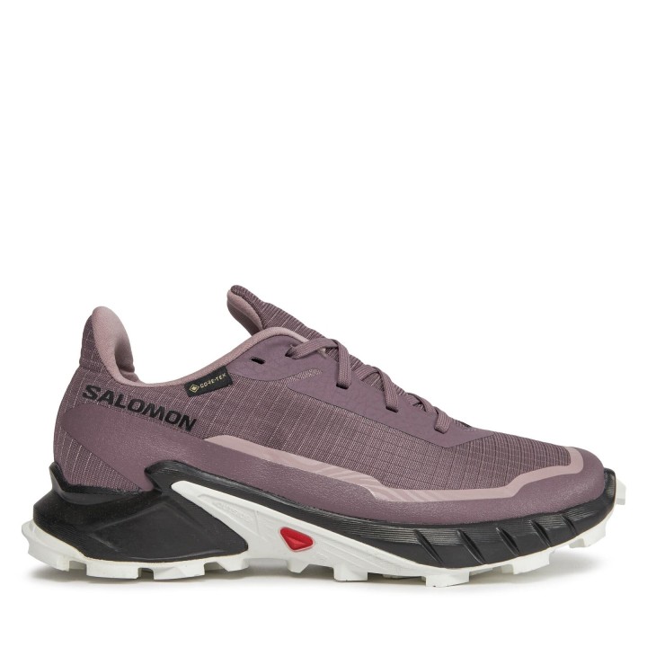 Laufschuhe Salomon Alphacross 5 Gtx W GORE-TEX 473110 23 W0 Violett