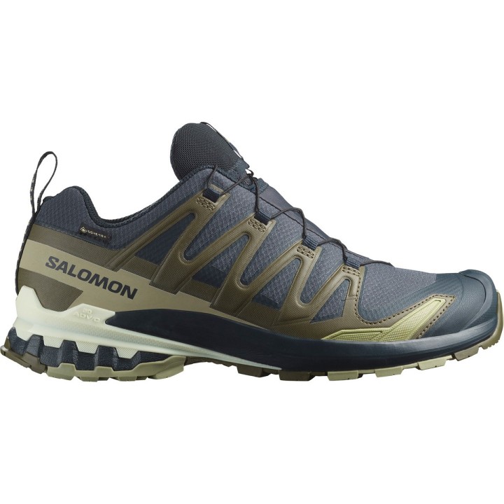 Salomon Herren Xa Pro 3D V9 GTX Schuhe