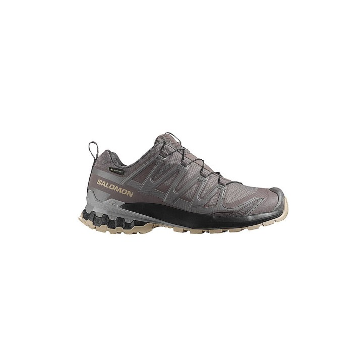 SALOMON Damen Multifunktionsschuhe XA PRO 3D V9 GTX beere | 36 2/3