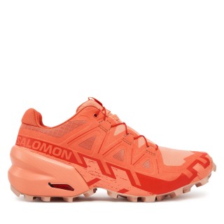 Laufschuhe Salomon Speedcross 6 L47766200 Orange