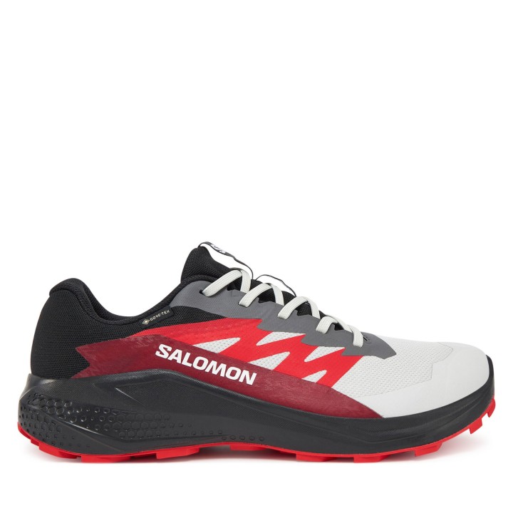 Laufschuhe Salomon Alphaglide Gore-Tex L47802200 Grau
