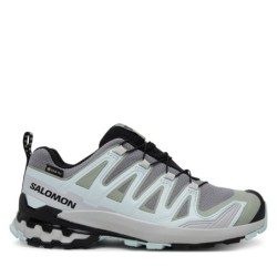 Laufschuhe Salomon Xa Pro 3D V9 Gore-Tex L47823100 Grau