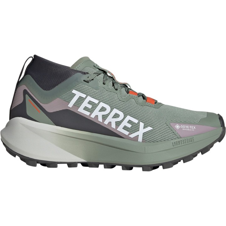 adidas Terrex Damen Agravic GTX Schuhe