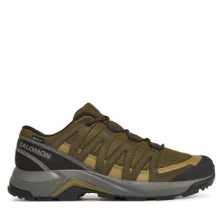 Trekkingschuhe Salomon X-Adventure Recon Gore Tex L47813200 Grün