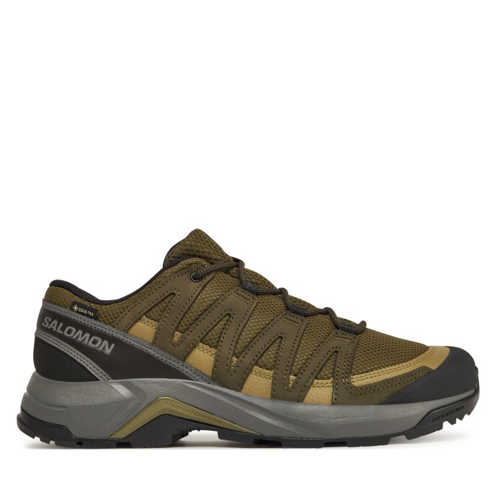 Trekkingschuhe Salomon X-Adventure Recon Gore Tex L47813200 Grün
