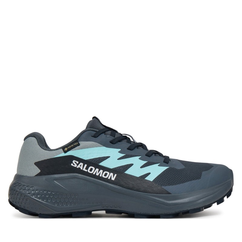 Laufschuhe Salomon Alphaglide Gore-Tex L47802500 Grau