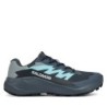 Laufschuhe Salomon Alphaglide Gore-Tex L47802500 Grau