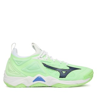 Hallenschuhe Mizuno Wave Momentum 3 V1GA2312 Grün