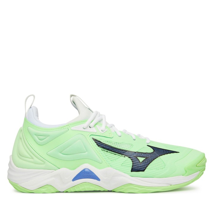 Hallenschuhe Mizuno Wave Momentum 3 V1GA2312 Grün