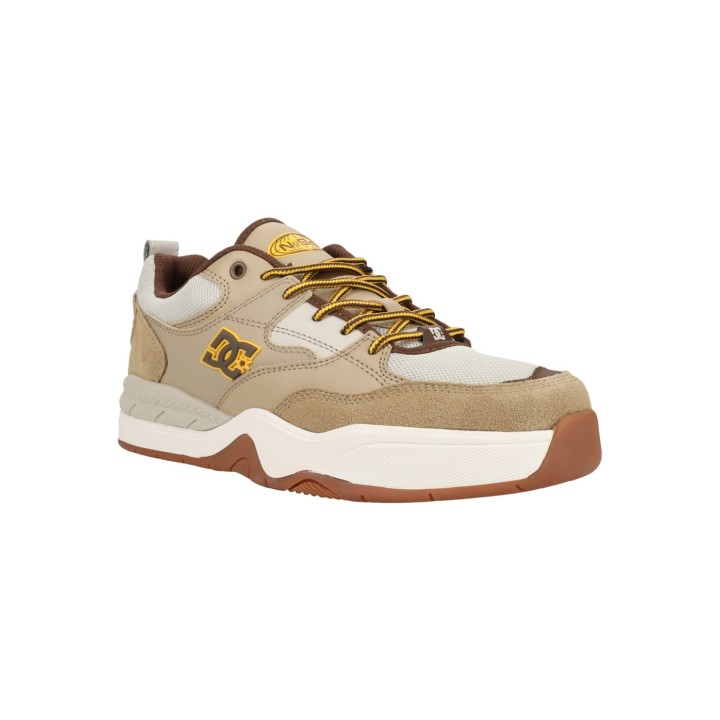 DC Shoes Sneaker "DC Ascend"