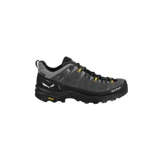 SALEWA Herren Wanderschuhe Alp Trainer 2 GTX grau | 42