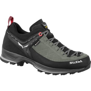 Salewa Damen MTN Trainer 2 GTX Schuhe