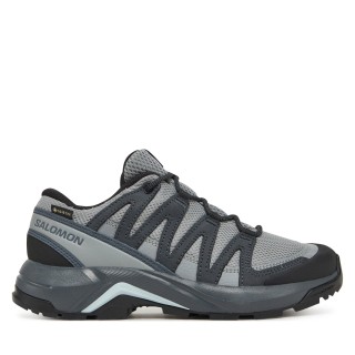 Trekkingschuhe Salomon X-Adventure Recon Gore Tex L47813300 Grau