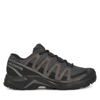 Trekkingschuhe Salomon X-Adventure Recon Gore Tex L47809200 Grau