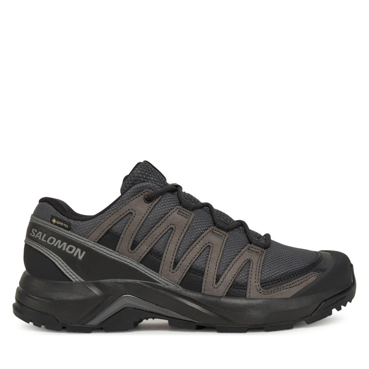Trekkingschuhe Salomon X-Adventure Recon Gore Tex L47809200 Grau