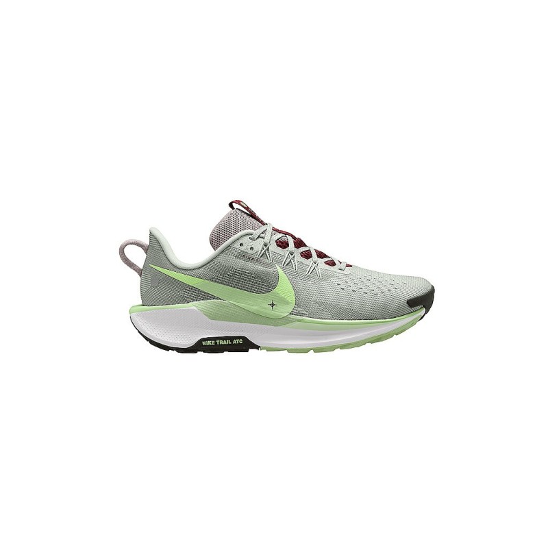 NIKE Herren Traillaufschuhe Pegasus Trail 5 beige | 40 1/2