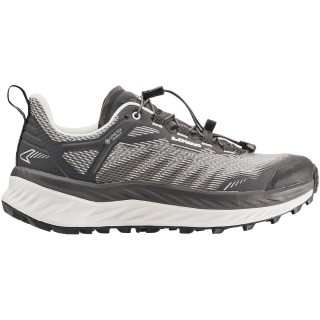 Lowa Damen Fortux GTX Schuhe