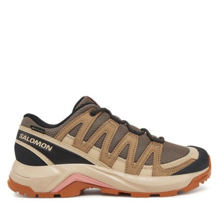 Trekkingschuhe Salomon X-Adventure Recon Gore Tex L47815500 Braun