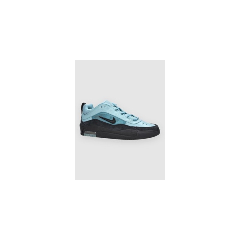 Nike Air Max Ishod Skateschuhe blk