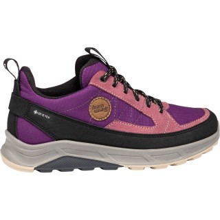 Hanwag Damen Rotpunkt Light Low GTX Schuhe