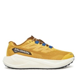 Laufschuhe Salomon Aero Blaze 3 Grvl L47974200 Gelb