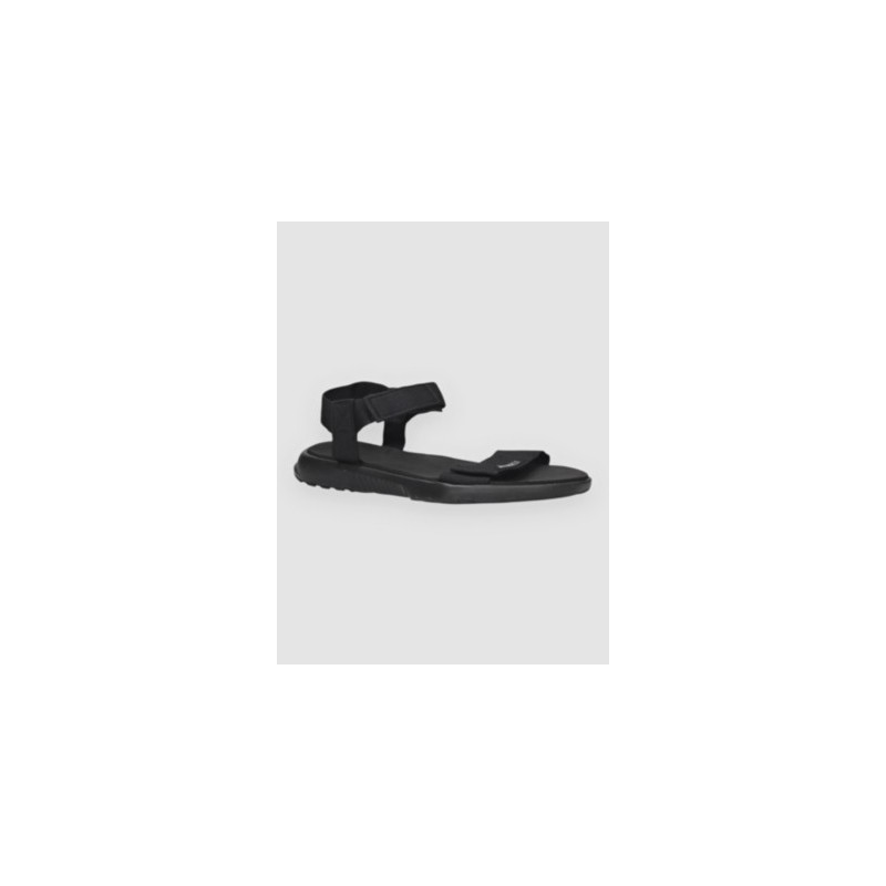 adidas Terrex Hydroterra Light Sandalen grefou