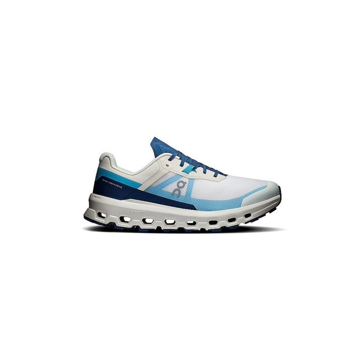 ON Herren Traillaufschuhe Cloudvista2 blau | 41