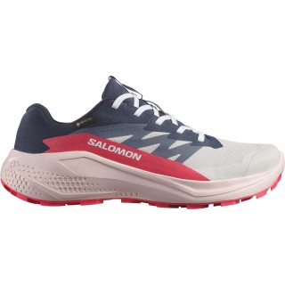 Salomon Damen Alphaglide GTX Schuhe
