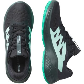 Salomon Damen Alphaglide GTX Schuhe