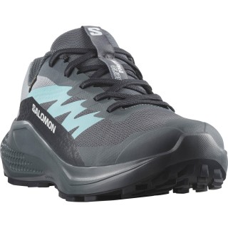 Salomon Damen Alphaglide GTX Schuhe