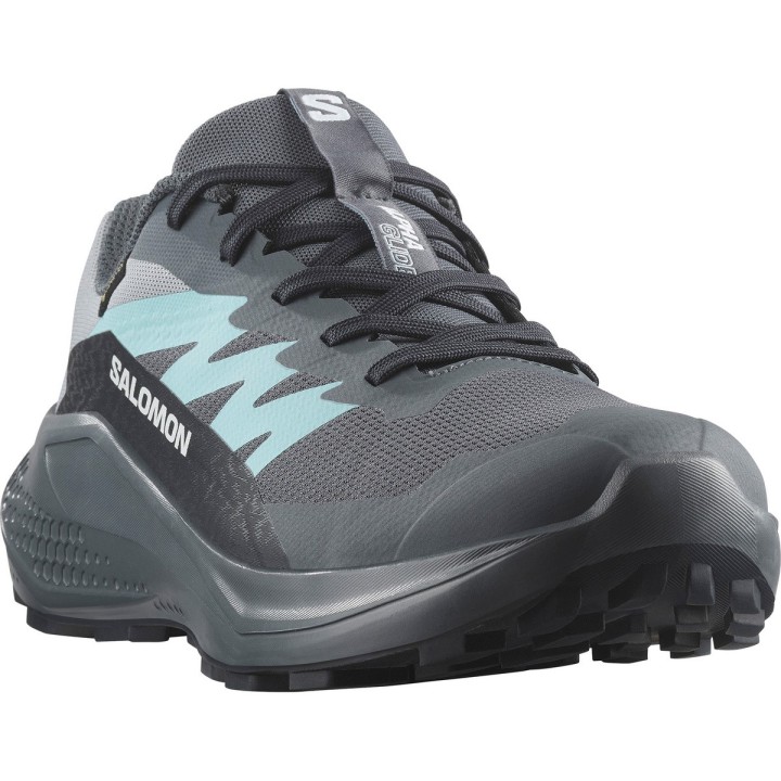 Salomon Damen Alphaglide GTX Schuhe
