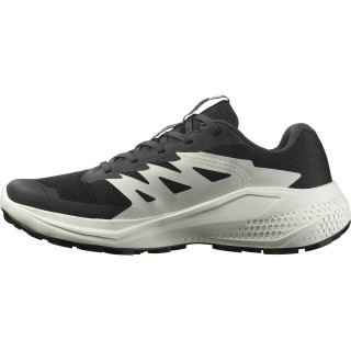 Salomon Damen Alphaglide Schuhe