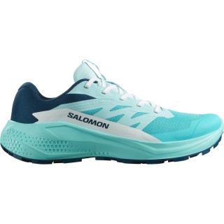 Salomon Damen Alphaglide Schuhe