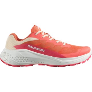 Salomon Damen Alphaglide Schuhe