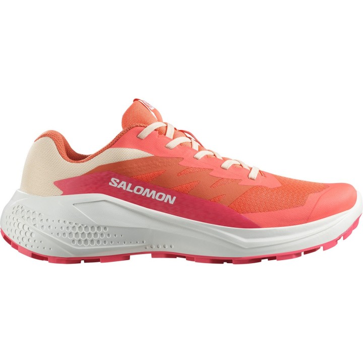 Salomon Damen Alphaglide Schuhe