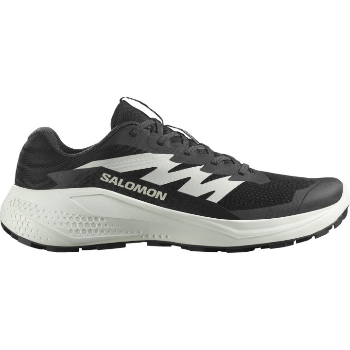 Salomon Herren Alphaglide Schuhe