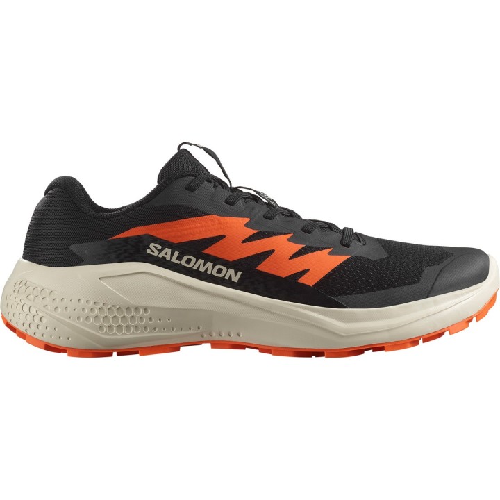 Salomon Herren Alphaglide Schuhe