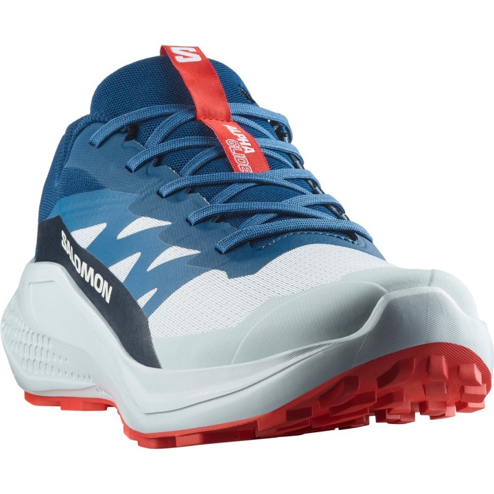 Salomon Herren Alphaglide Schuhe