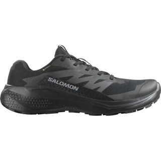Salomon Herren Alphaglide GTX Schuhe