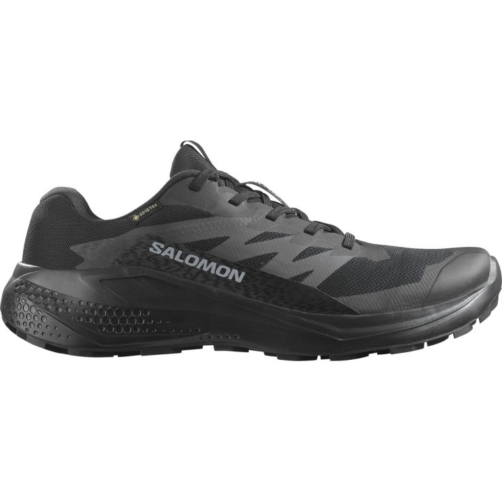 Salomon Herren Alphaglide GTX Schuhe