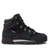 Trekkingschuhe adidas Terrex Snowpitch C.Rdy FV7957 Schwarz