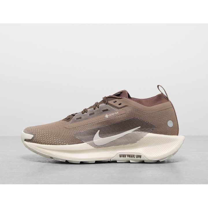 Nike Pegasus trail 5 GORE-TEX - Brown