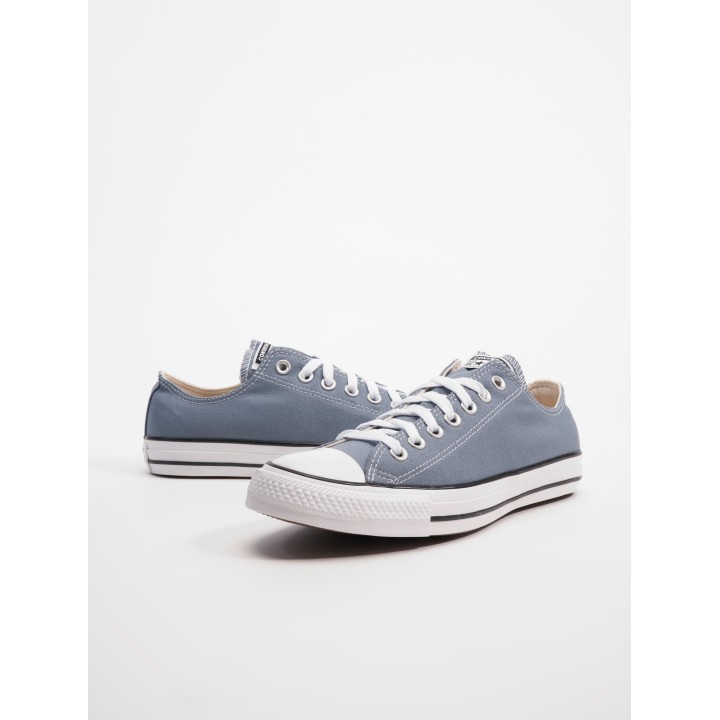 Converse Chuck Taylor All Star Seasonal Color Sneaker