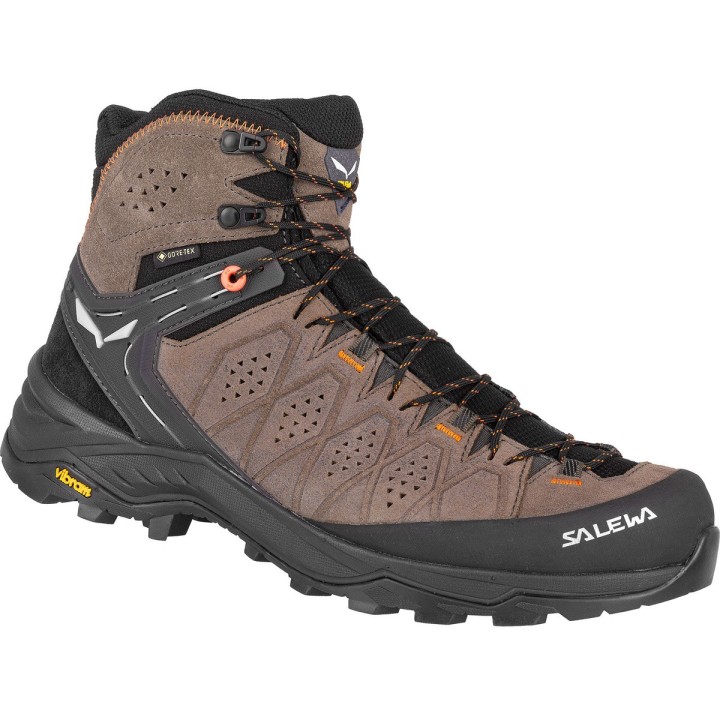 Salewa Herren Alp Trainer 2 Mid GTX Schuhe